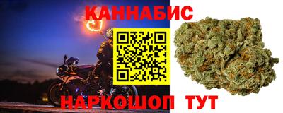mdpv Ярославль