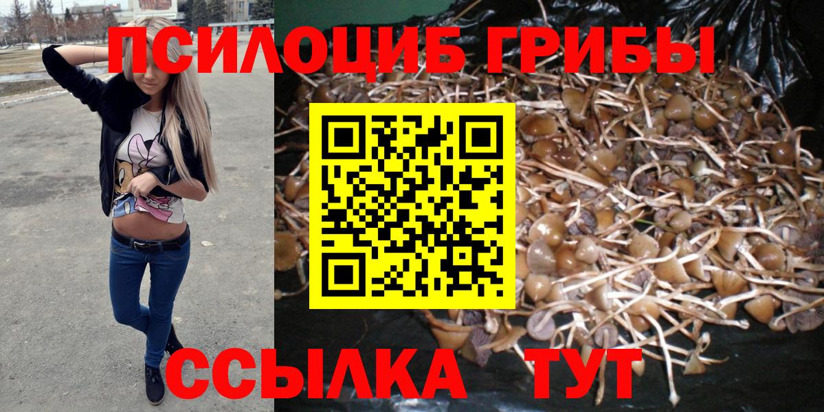 Псилоцибиновые грибы Cubensis  Вход с VPN  Псилоцибиновые грибы Cubensis  Асино 